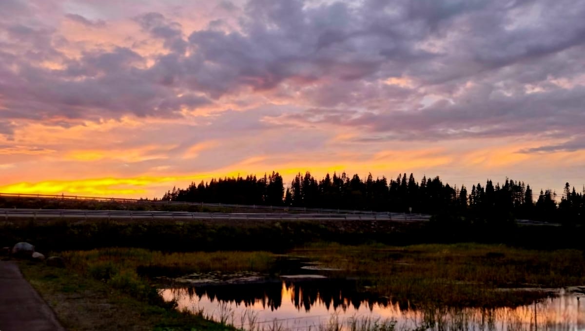 Colourful sunset over wetlands and trees in Lewisporte, Newfoundland and Labrador.